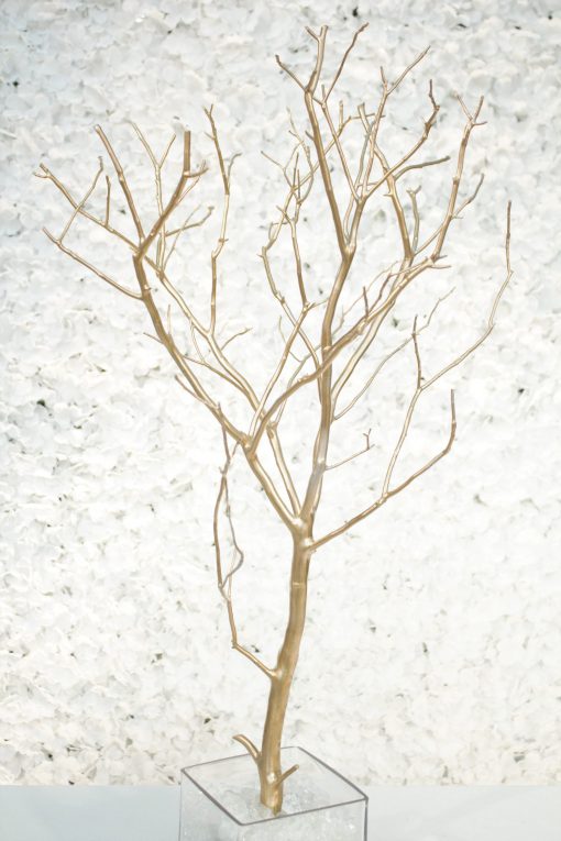 Gold Manzanita Branch
