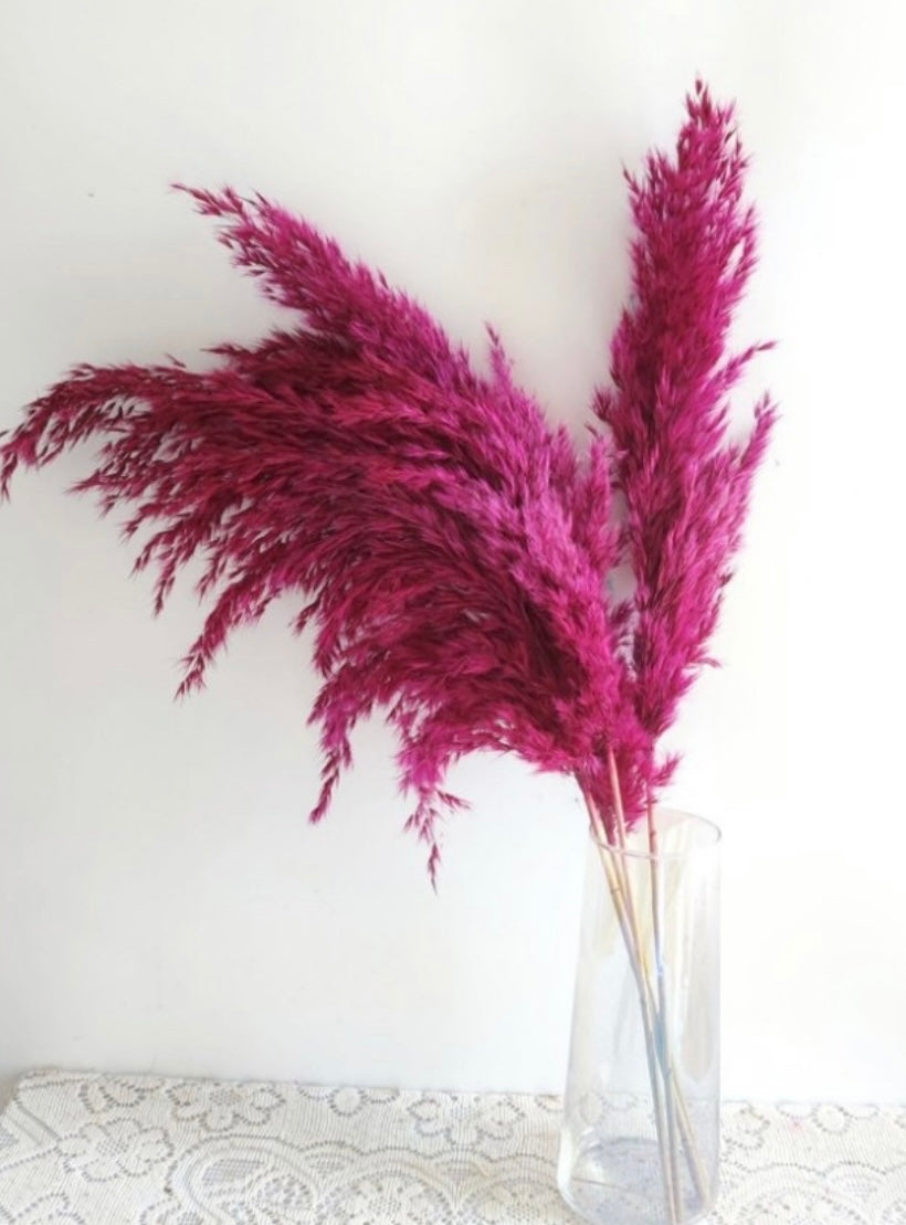 Real Pampas - Hot Pink
