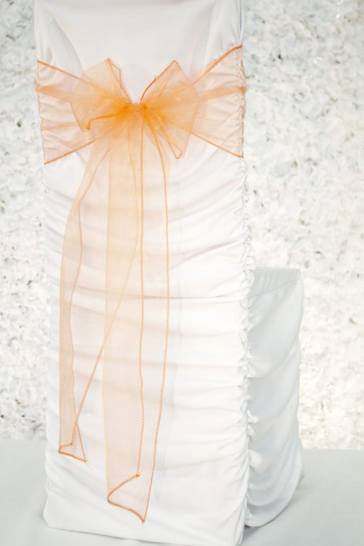 Tangerine Organza Sash