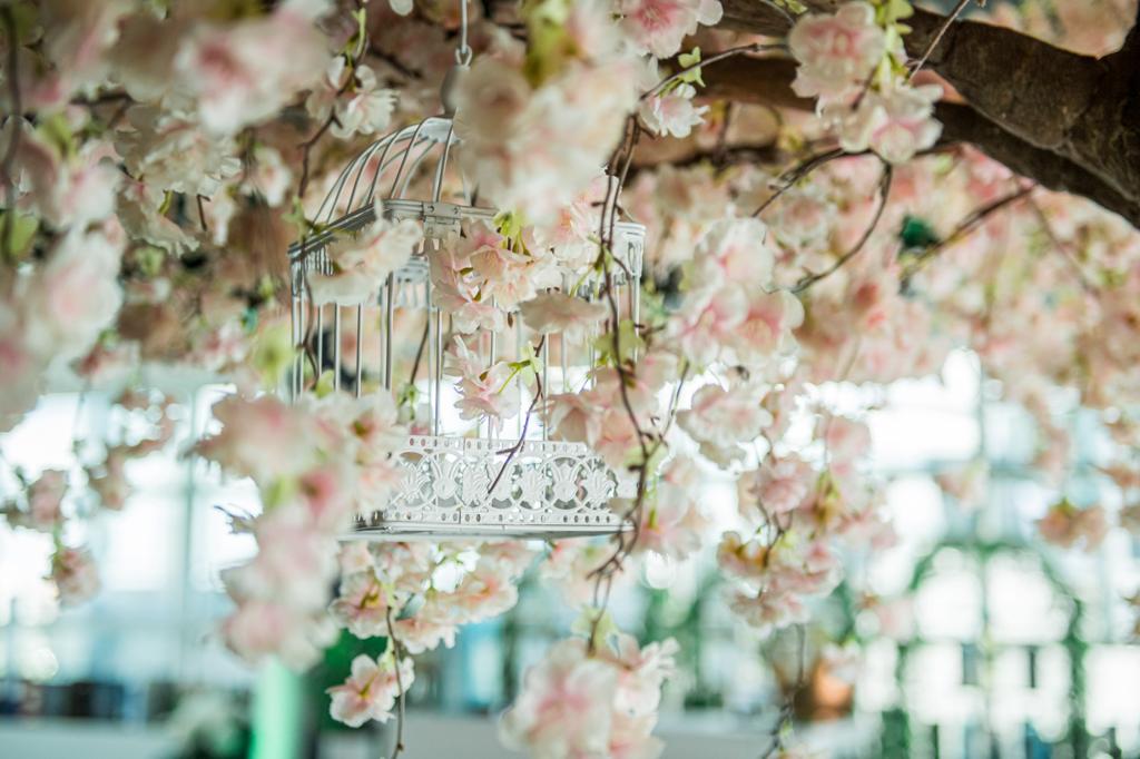 Bird Cage with Orchids
