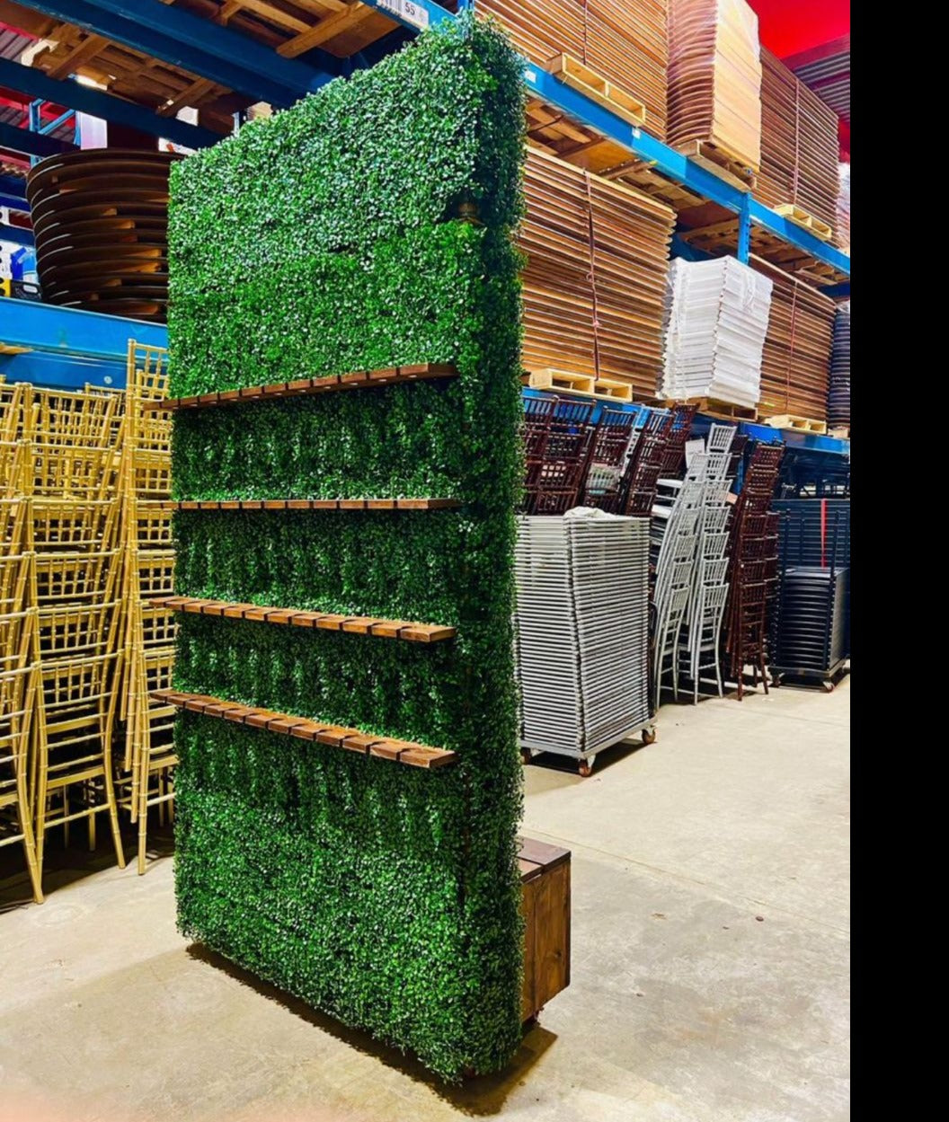 Greenery Champagne Wall