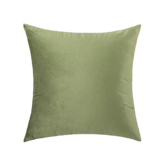 Sage Green Velvet Cushion