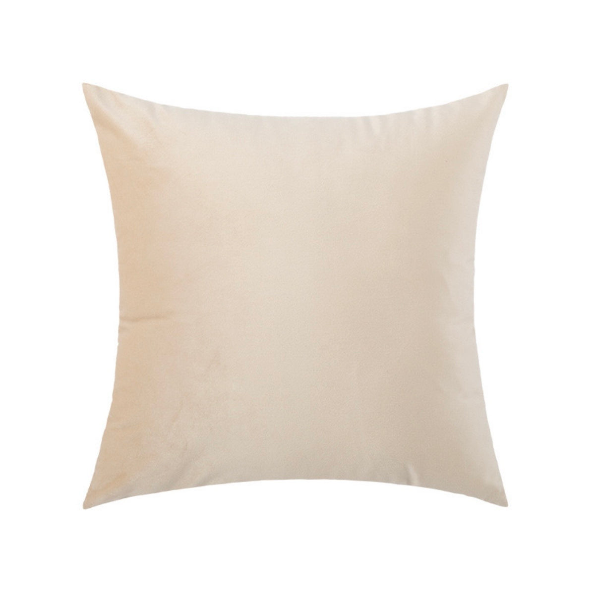 Ivory Velvet Cushion