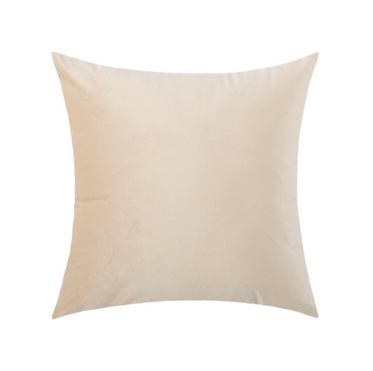 Ivory Velvet Cushion