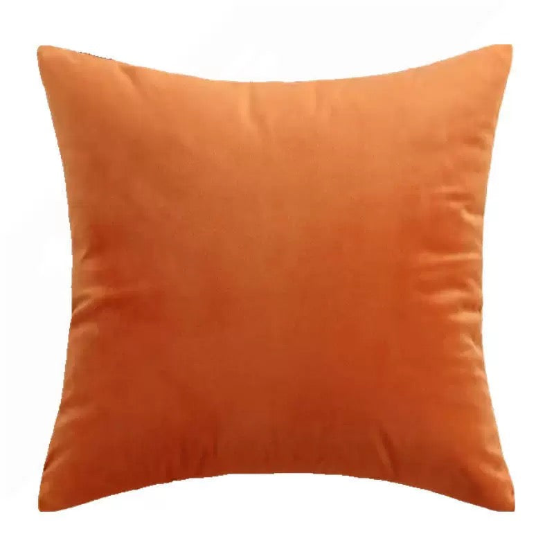 Orange Velvet Cushion