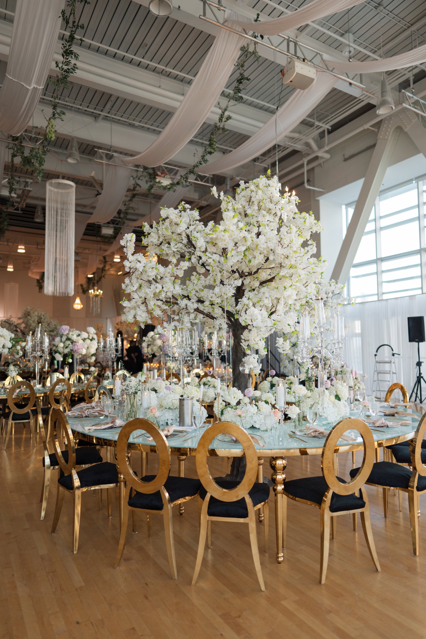 White Blossom Tree