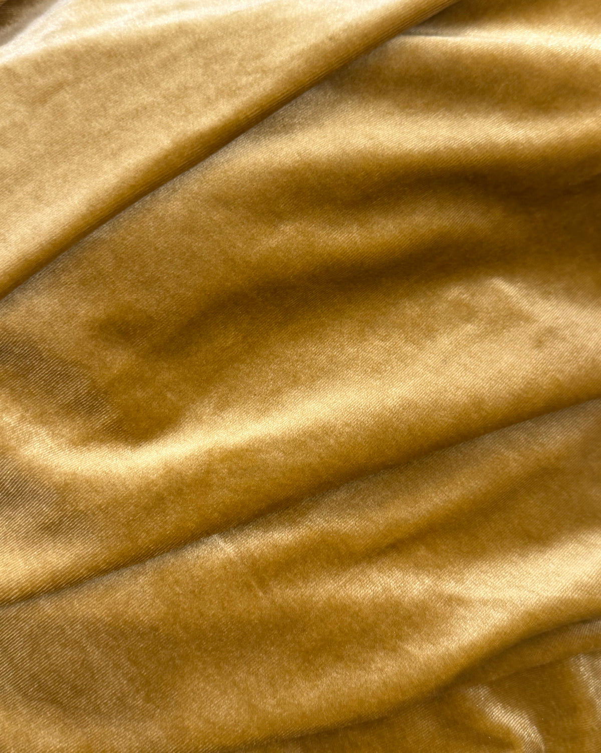 Gold Velvet Drape