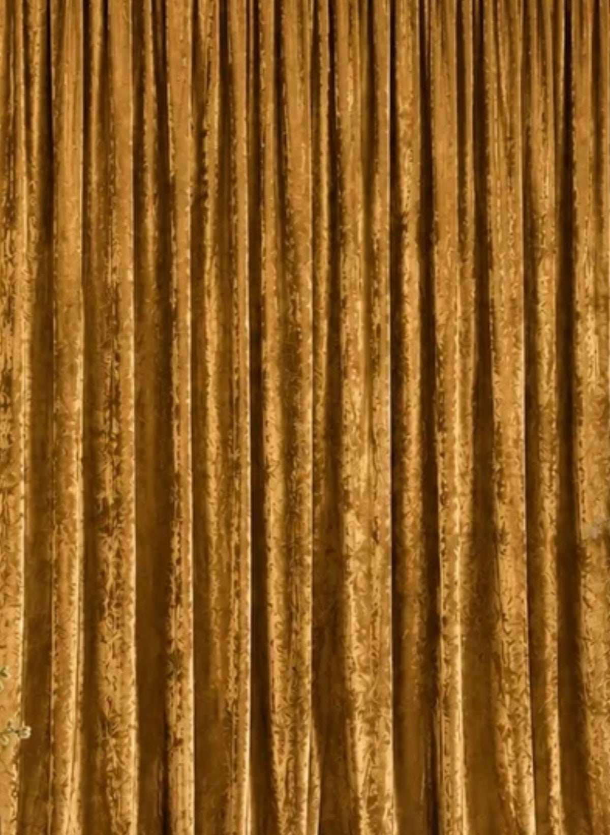 Antique Gold Crushed Velvet Drape