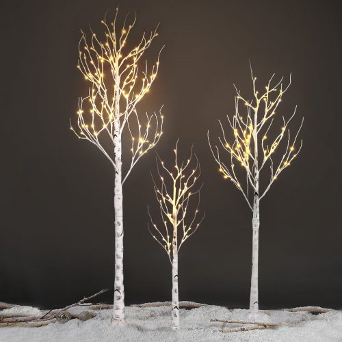 White Birch Tree with Fairy Lights