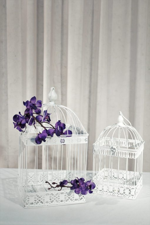 Bird Cage with Orchids
