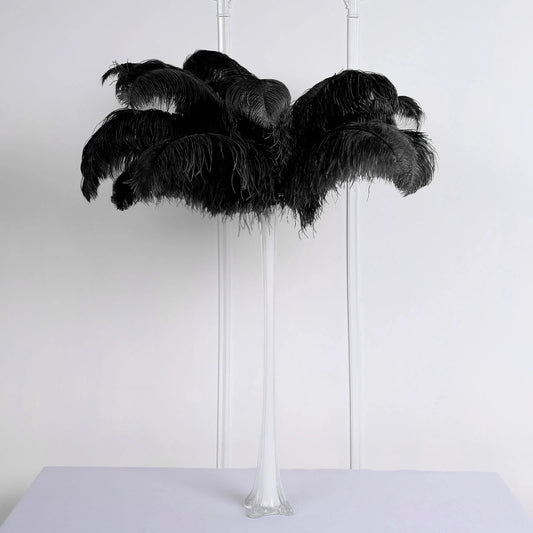 1 Dozen Black Ostrich Feathers