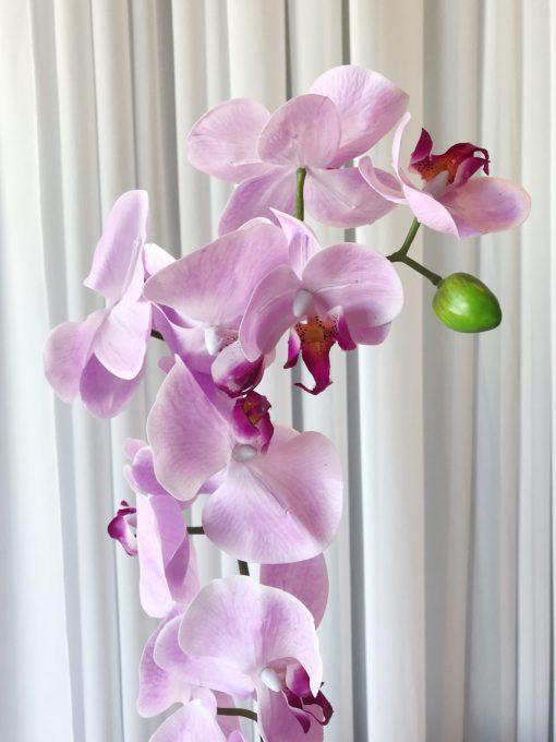 Silk Orchid Pink
