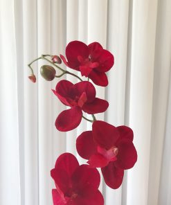 Silk Orchid Red