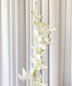 Silk Orchid White