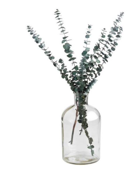 Glass Bottle Neck Vase